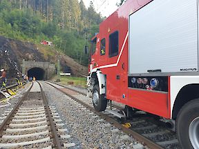 Artikelvorschaubild 19.06.2022 - Einsatz zur Überlandhilfe bei Waldbrand