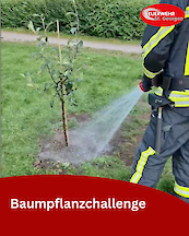 Artikelvorschaubild Baumpflanzchallenge 2025